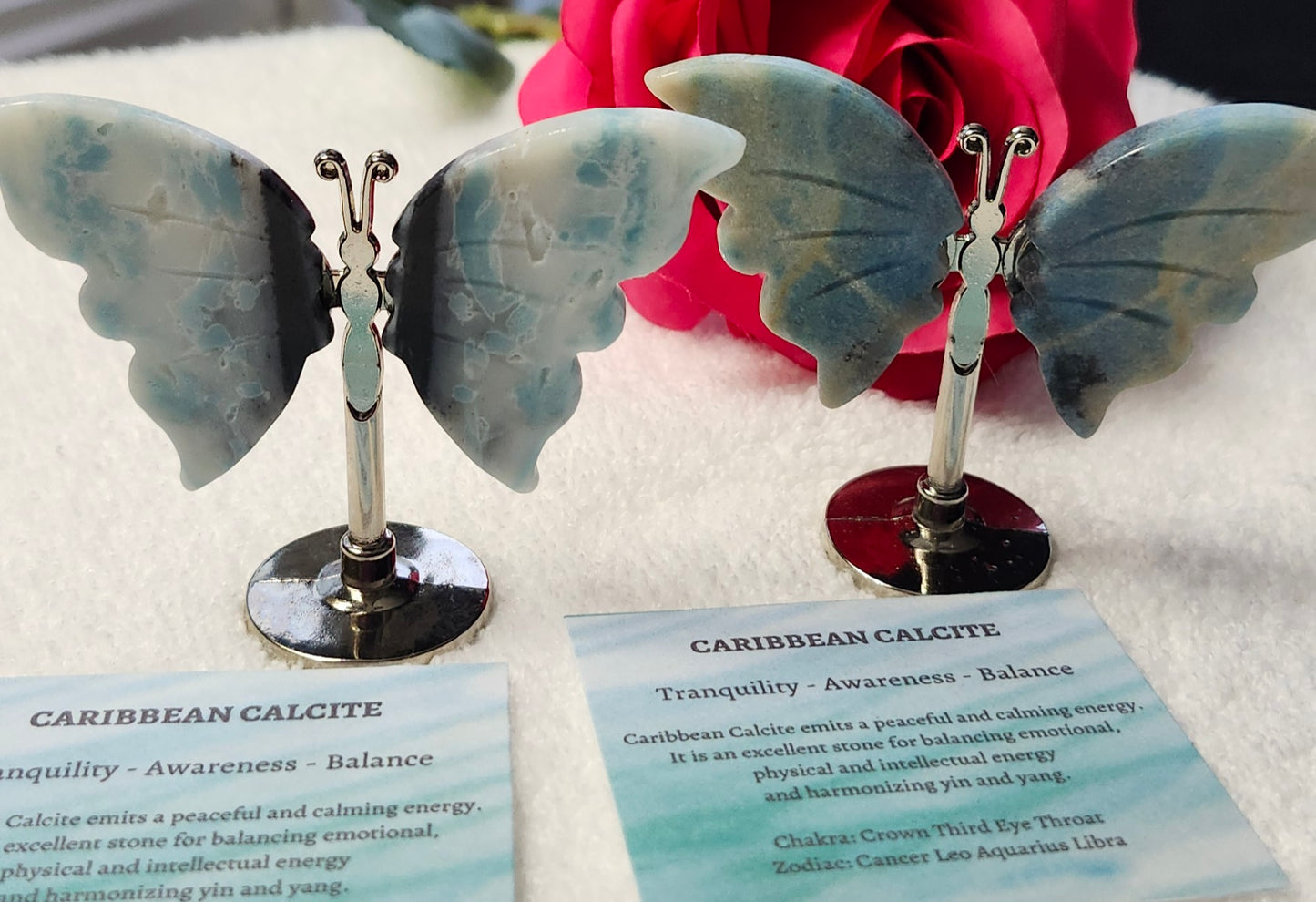 Caribbean Calcite Butterfly Wings
