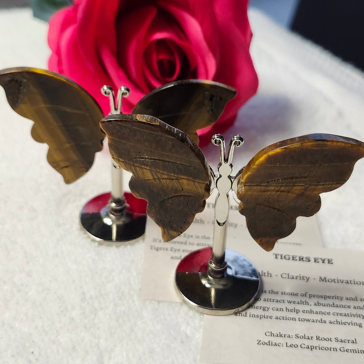 Tigers Eye Butterfly Wings