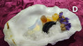 (D) BC Oyster Shell Crystal Decor