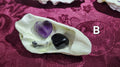 (B) BC Oyster Shell Crystal Decor