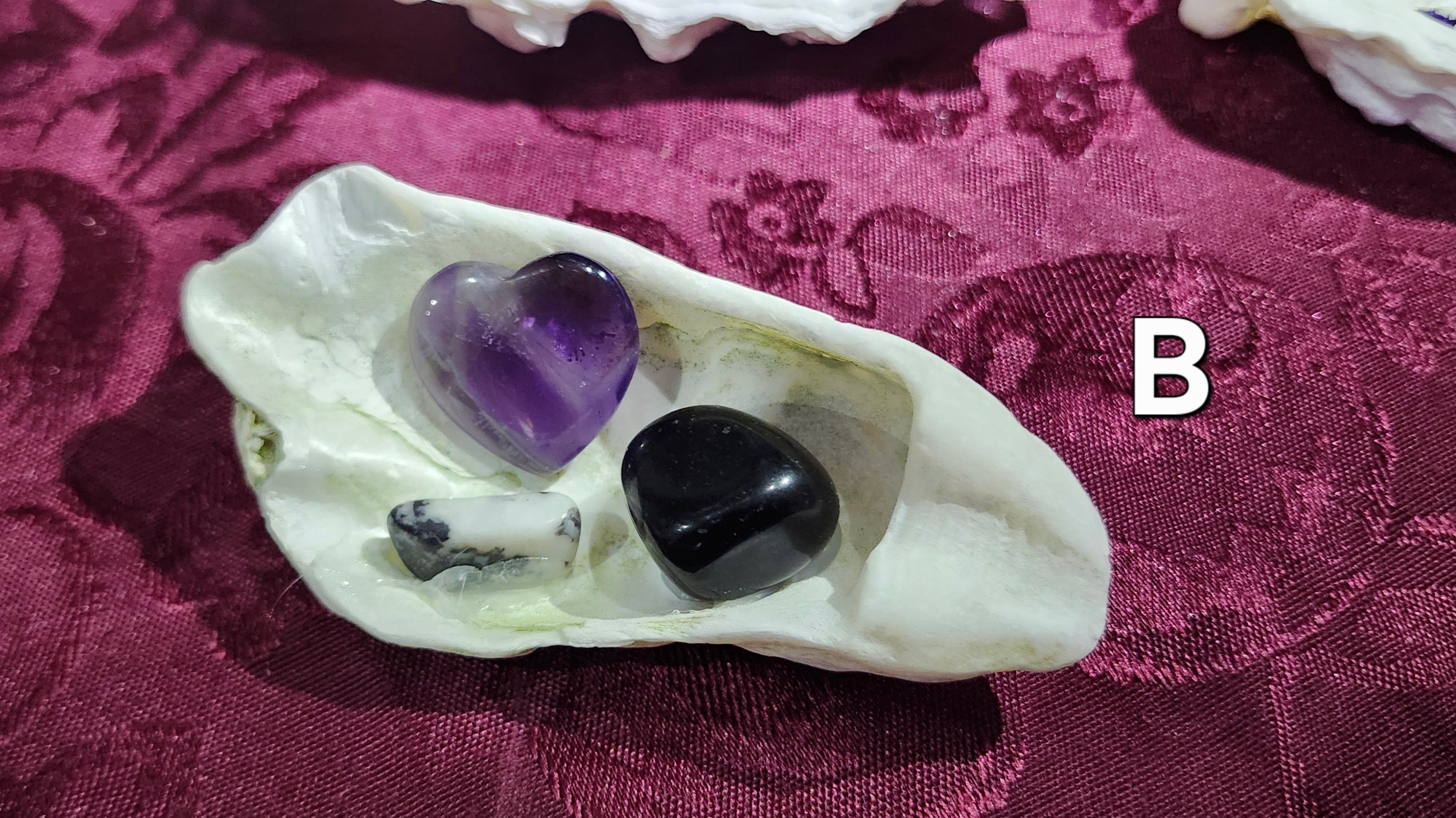(B) BC Oyster Shell Crystal Decor