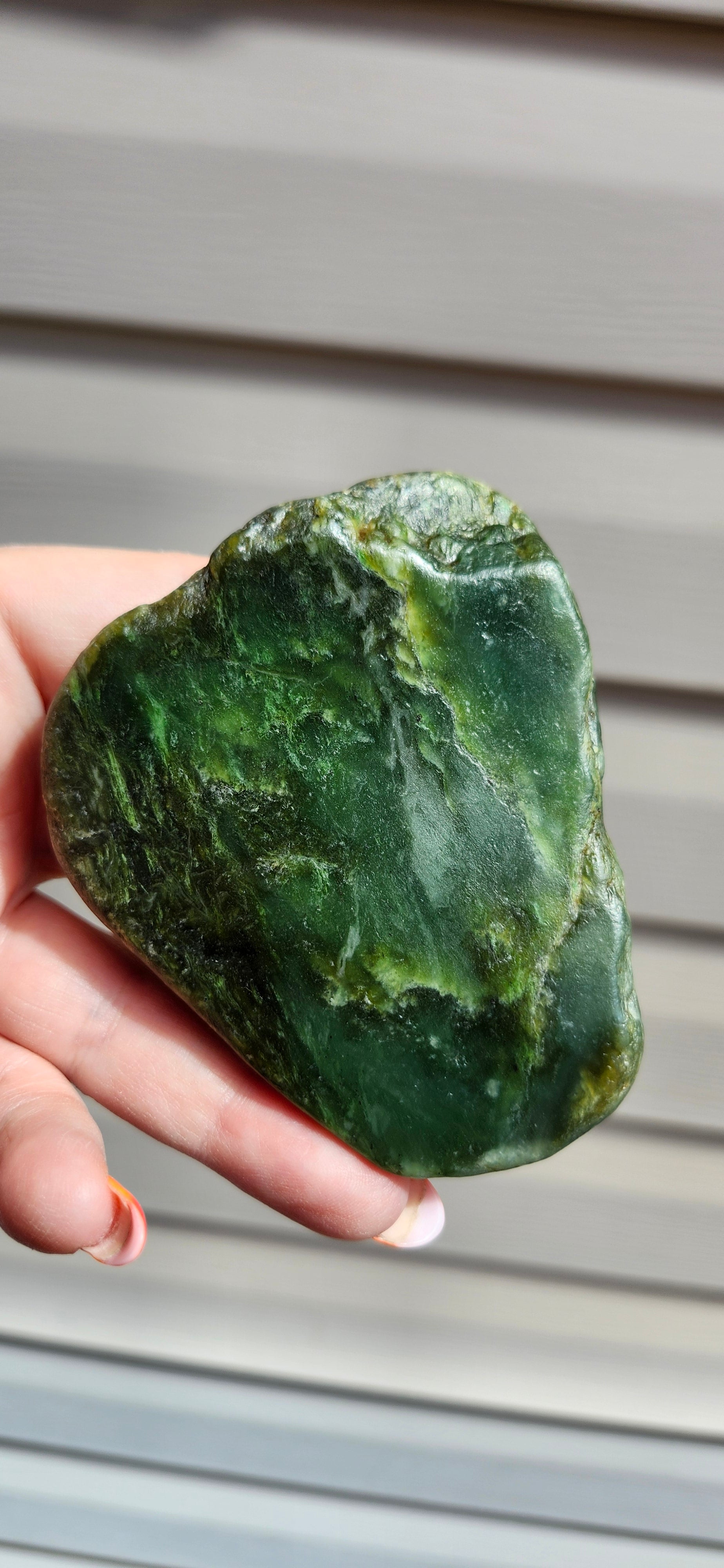 B.C Nephrite Jade Specimen Rough Polish
