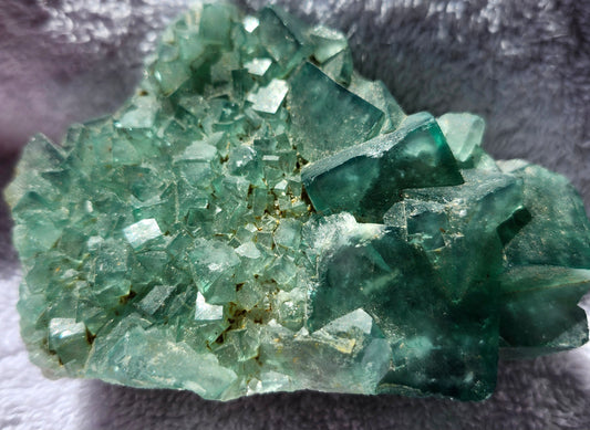Green Fluorite Cluster
