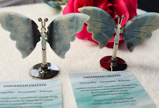 Caribbean Calcite Butterfly Wings